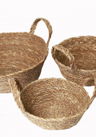 Fruit Basket with handle