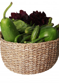 Storage Basket with handle