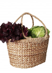 Store Bag with handle